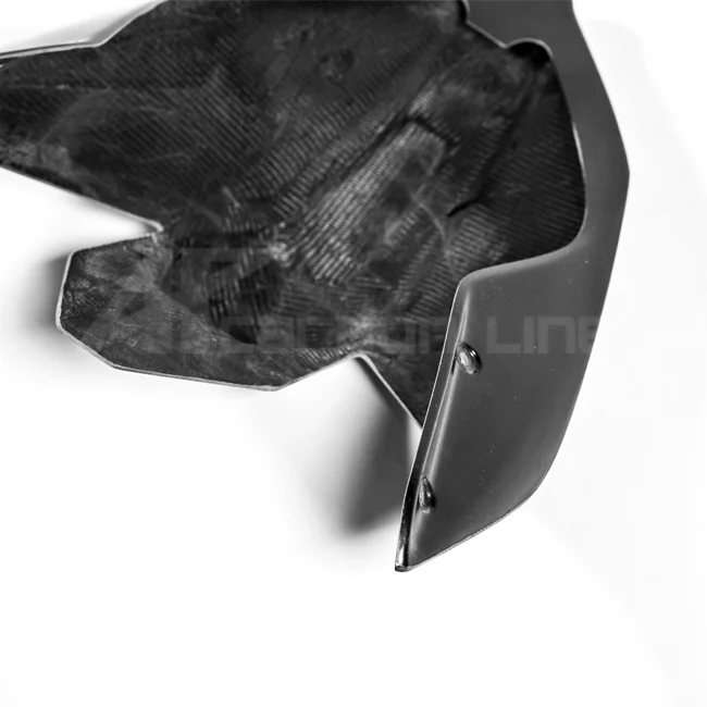 Heckverkleidung Lavatex AP Carbon Line Ducati Panigale V4/S/R (25-26) - Image 8