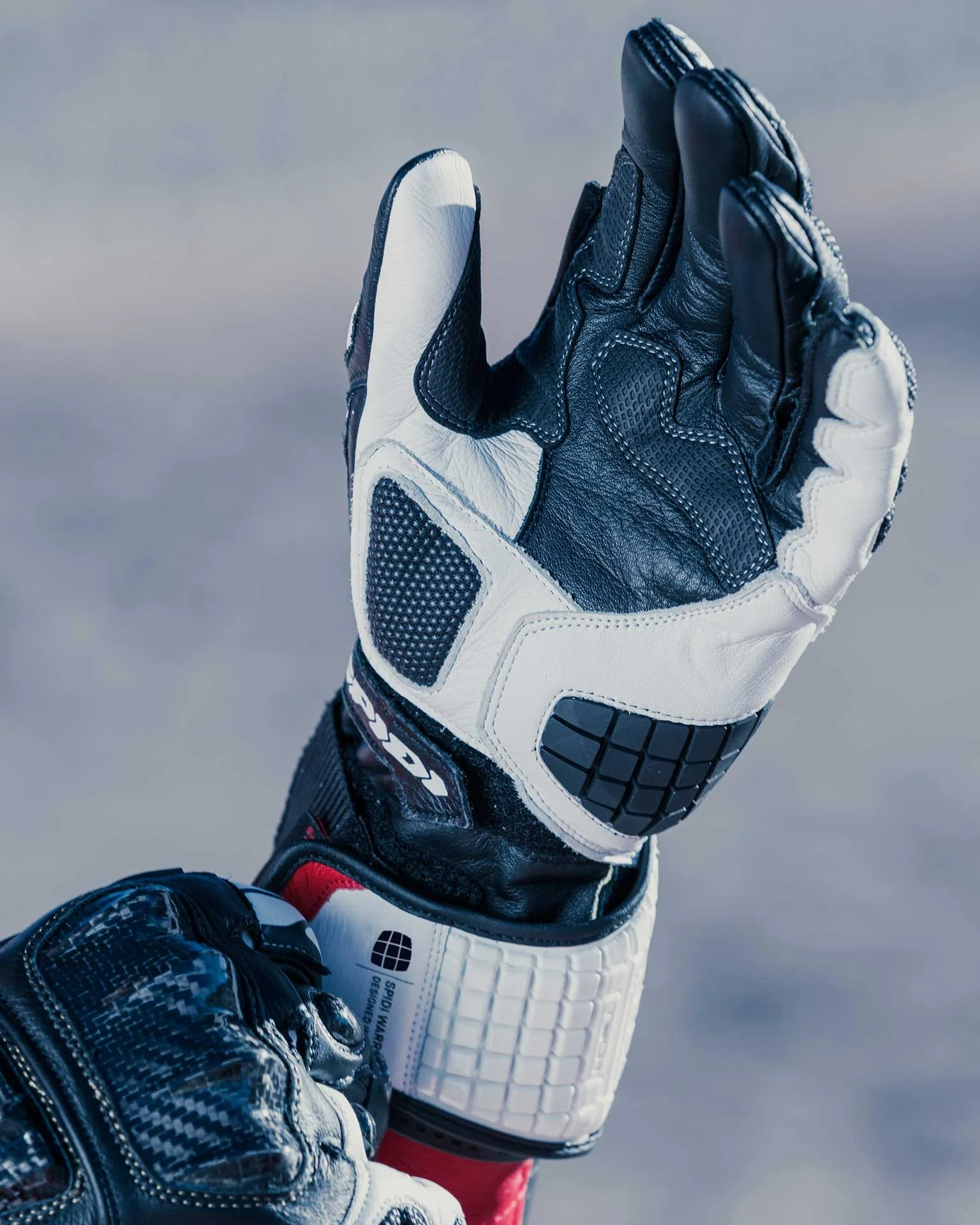 Spidi Carbo Track Evo Racing Motorrad Lederhandschuhe | Herren | Schwarz/Weiß | A203011 - Image 5
