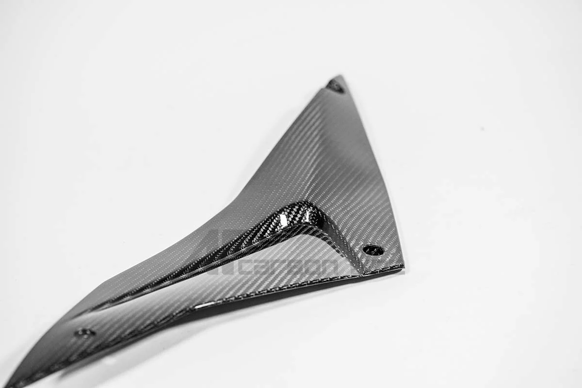 Tankseitenteil Unten Links 200g AP Carbon Line Aprilia RSV4/RR/1100 Factory (21-25) - Image 2