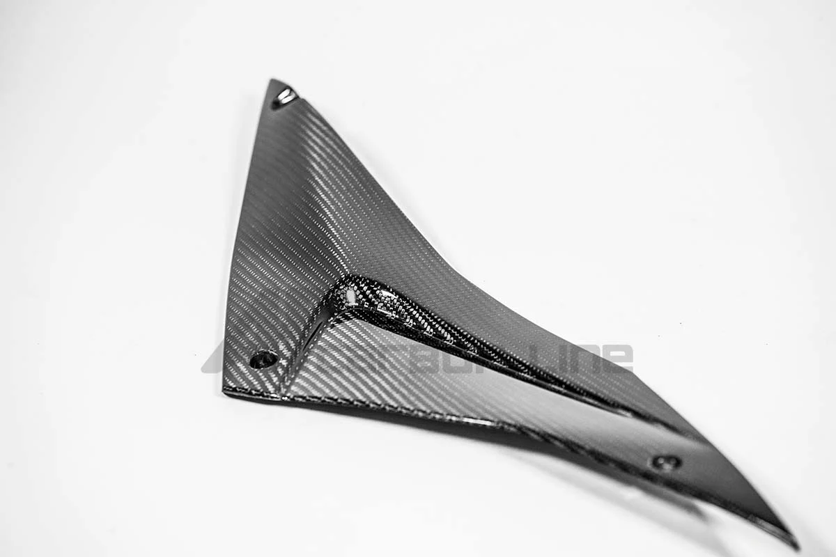 Tankseitenteil Unten Rechts 200g AP Carbon Line Aprilia RSV4/RR/1100 Factory (21-25) - Image 2